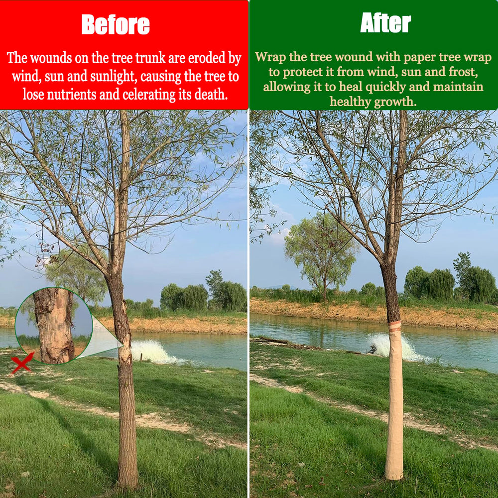 Comparison of tree wrap before and after application