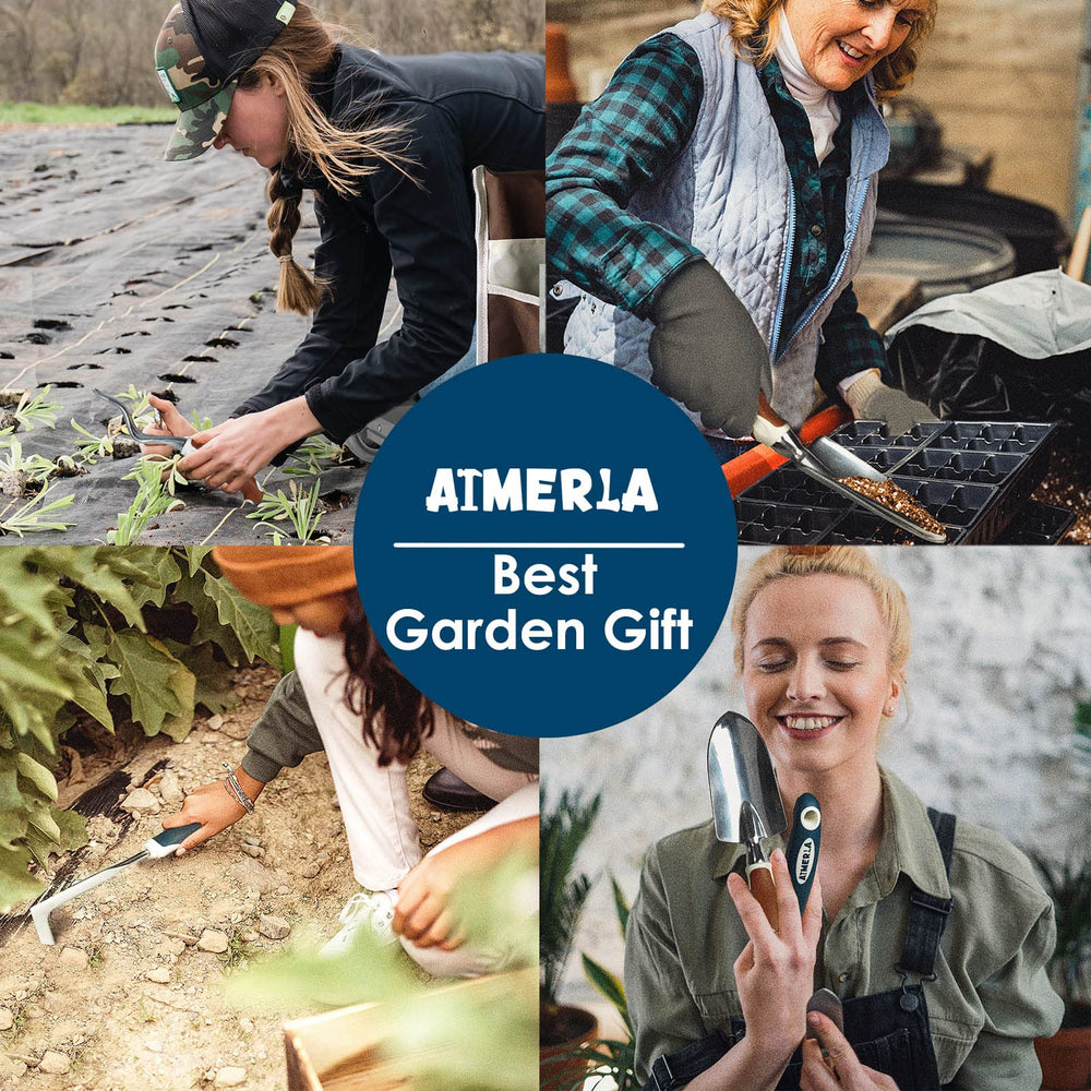 Complete Aimerla gardening tools set arranged on a table
