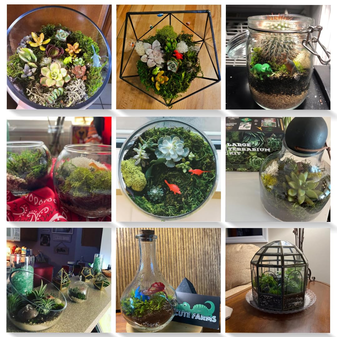 Complete Cute Farms Terrarium Starter Kit displayed on a table