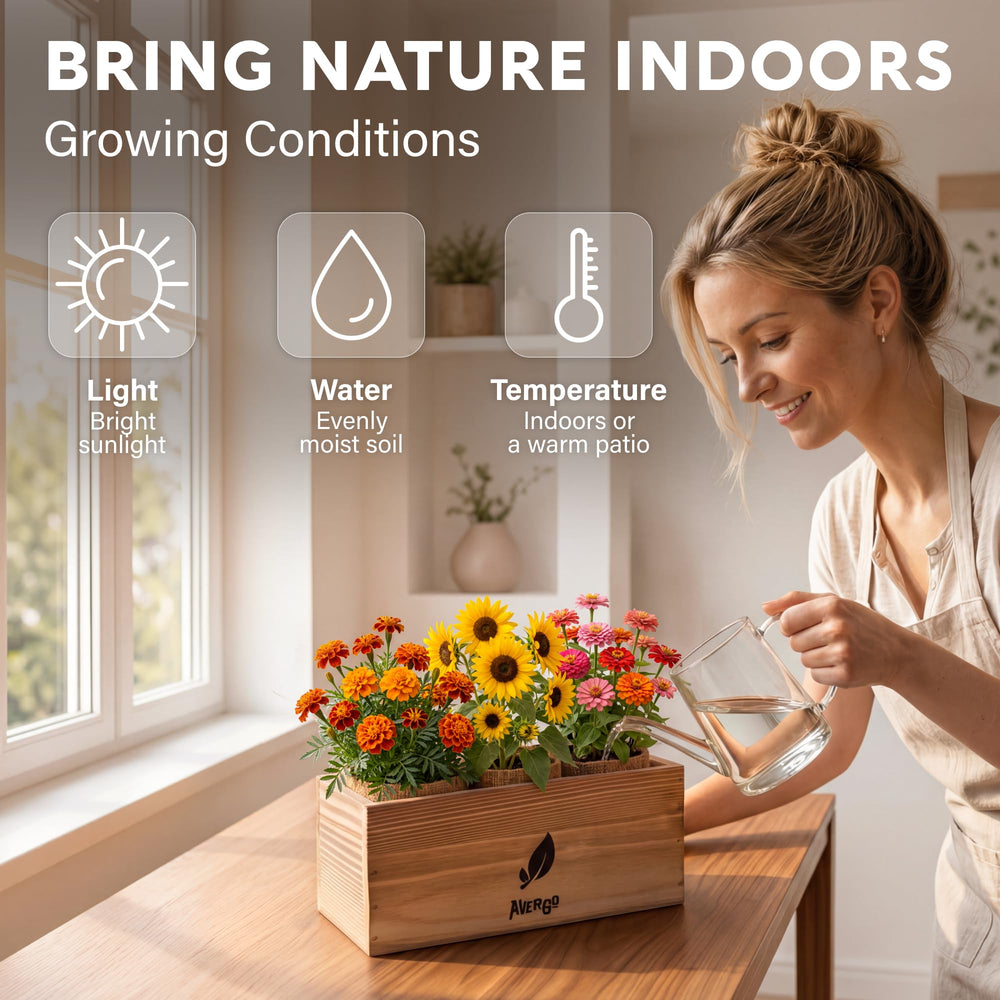 Complete gardening set layout of AVERGO flower seeds kit