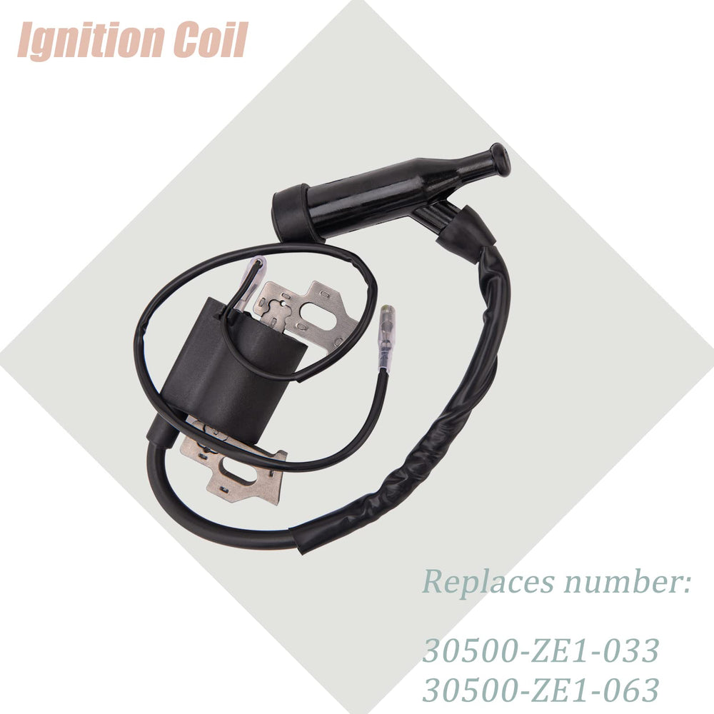 Complete HOOTO GX160 GX200 Carburetor kit with labels