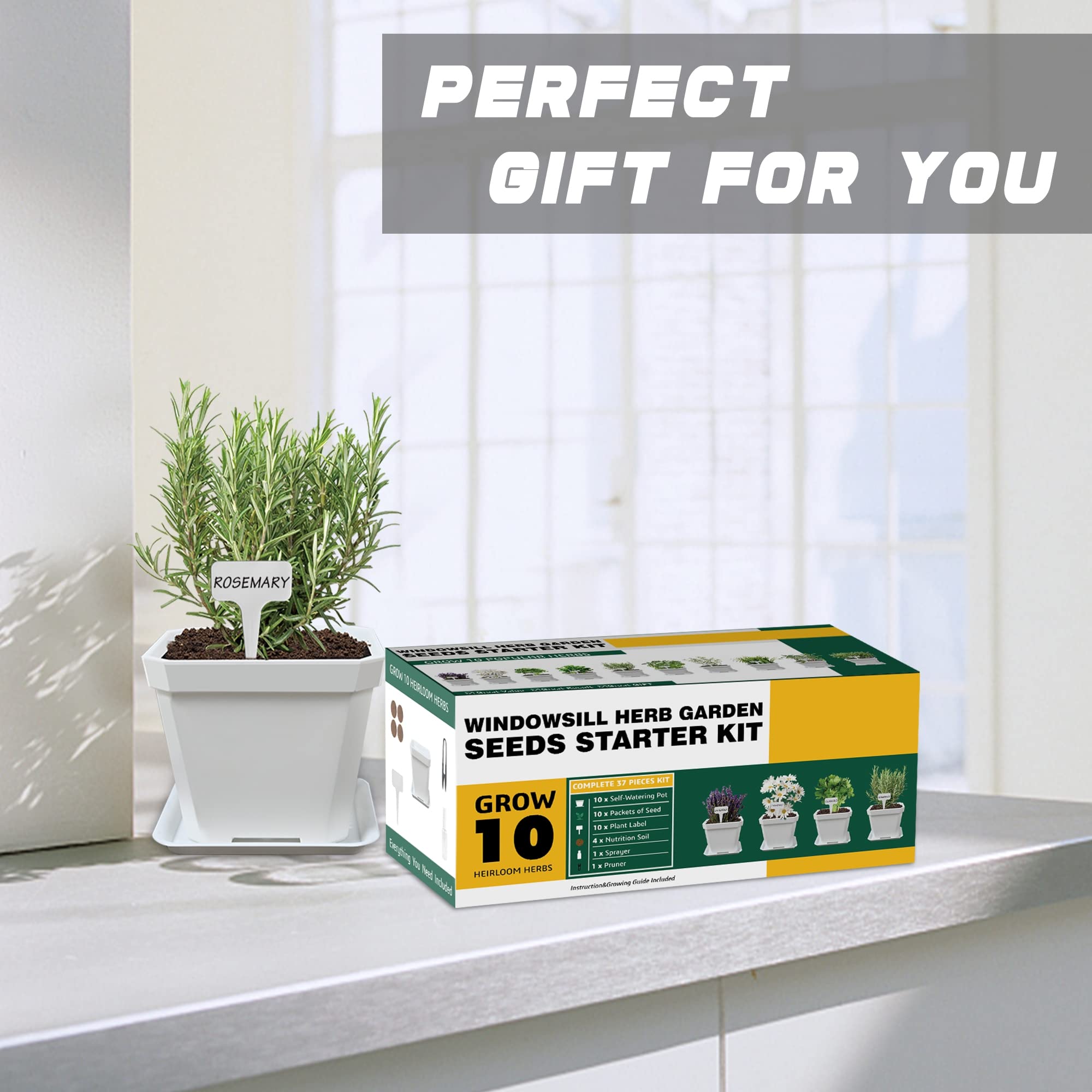 Complete Meekear herb growing kit displayed on a shelf