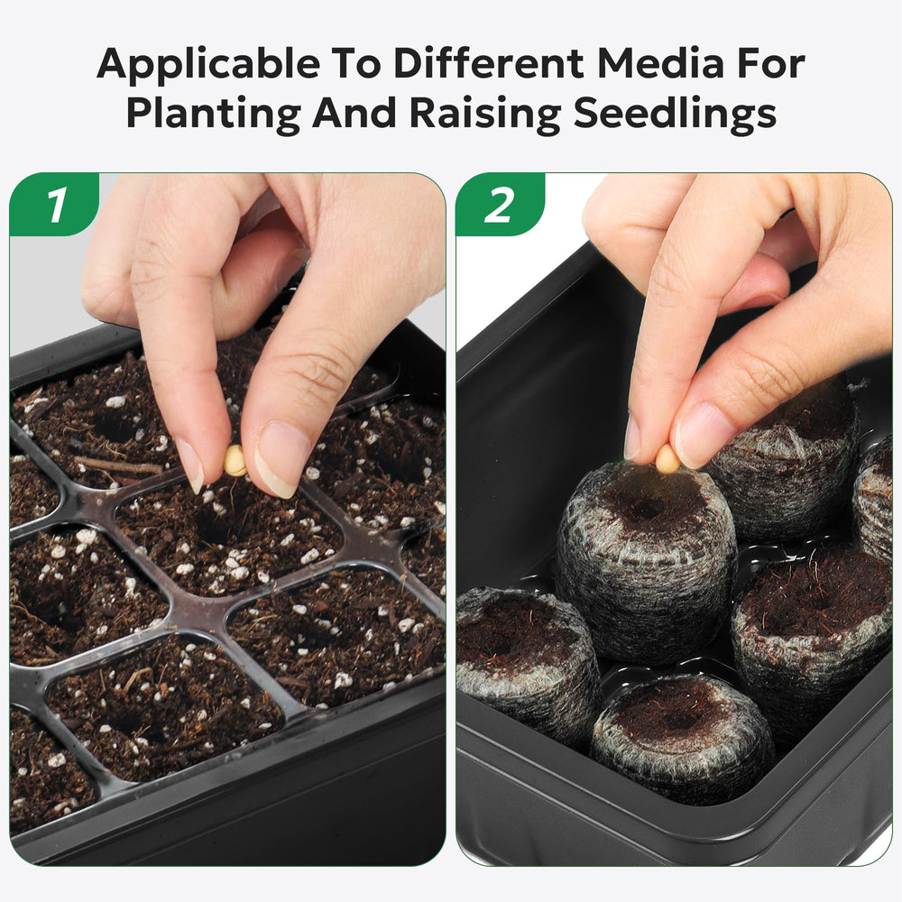 Complete MIXC seed starter kit with base trays and domes