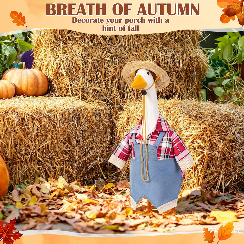 Complete packaging of Dansydaisy Halloween Goose Outfit