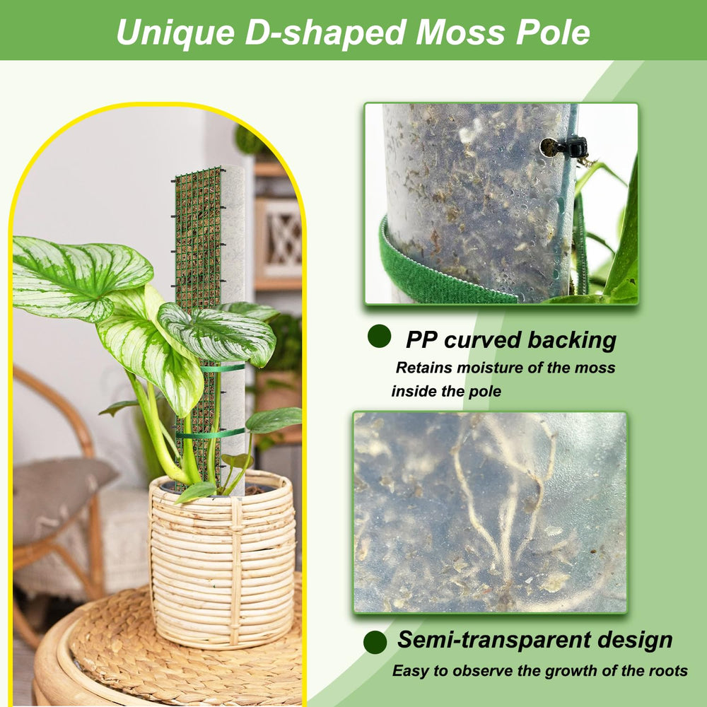 Complete set of HOLANHING moss poles including gloves and ties