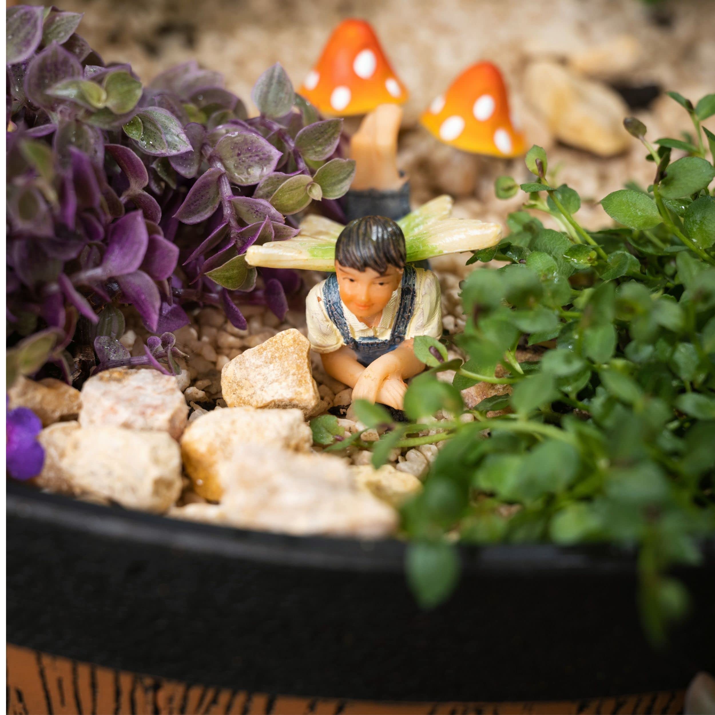 Complete set of PRETMANNS fairy garden accessories