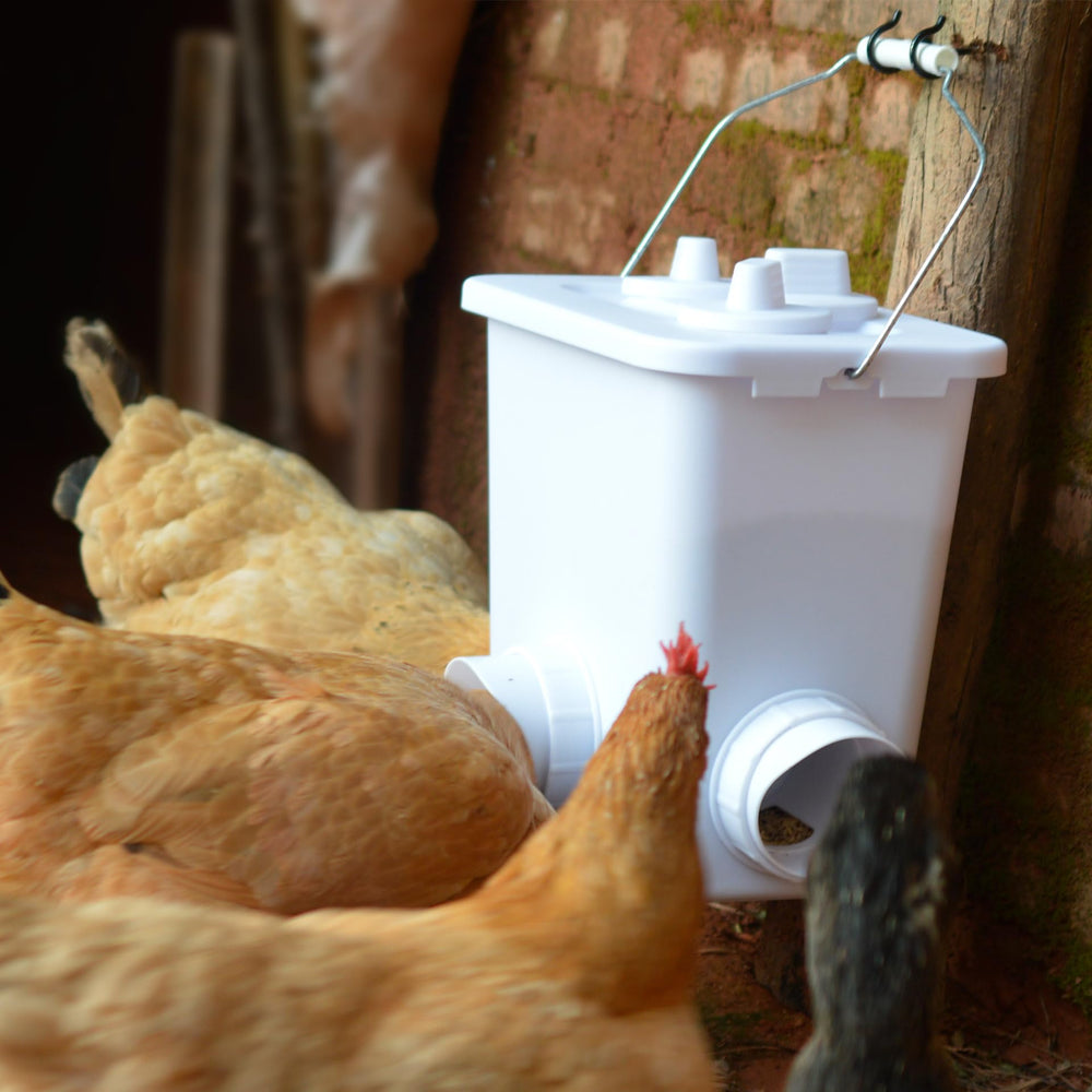 Complete set of the mozoba chicken feeder and waterer with buckets