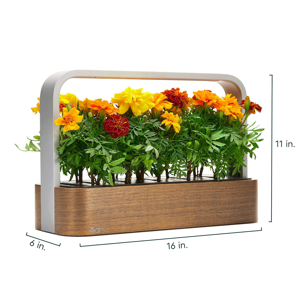 Complete starter package of EDN Indoor Smart Garden