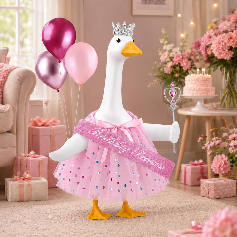 Complete Teeanzo Birthday Princess Goose Outfit set on display