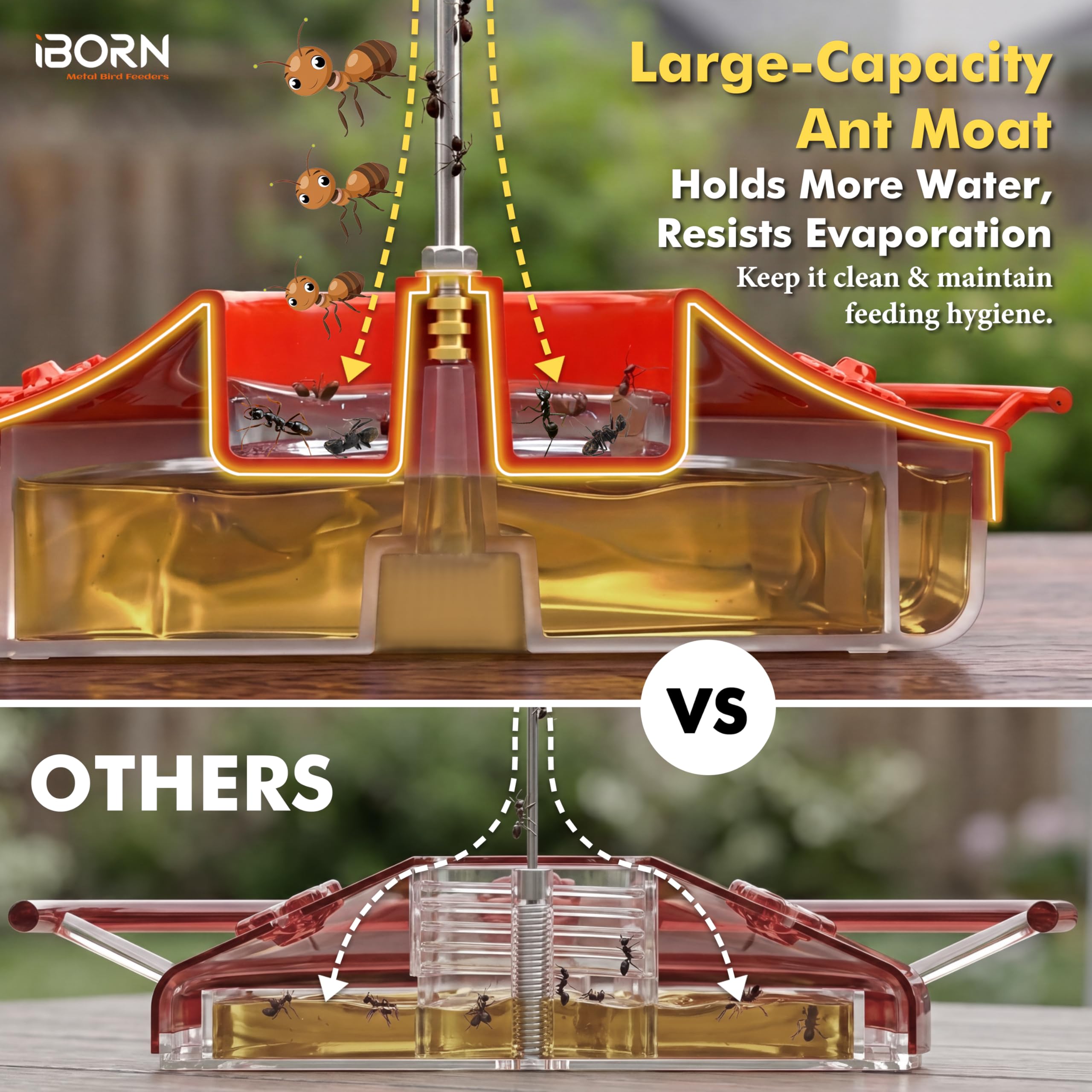 Complete view of iBorn Hummingbird Feeder with hook