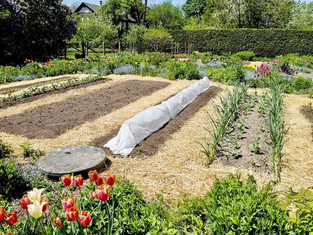 Compressed Blue Mountain Hay Organic Garden Straw ready to use