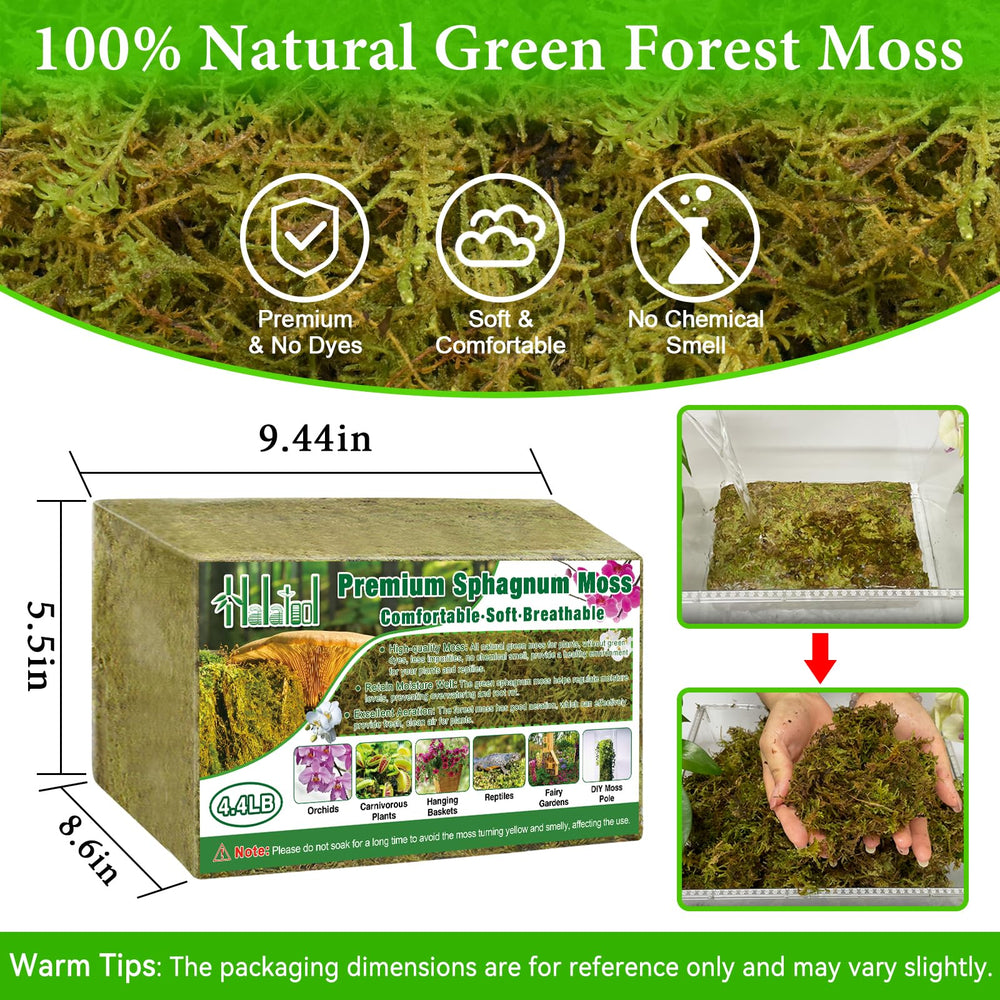 Compressed Halatool sphagnum moss in packaging