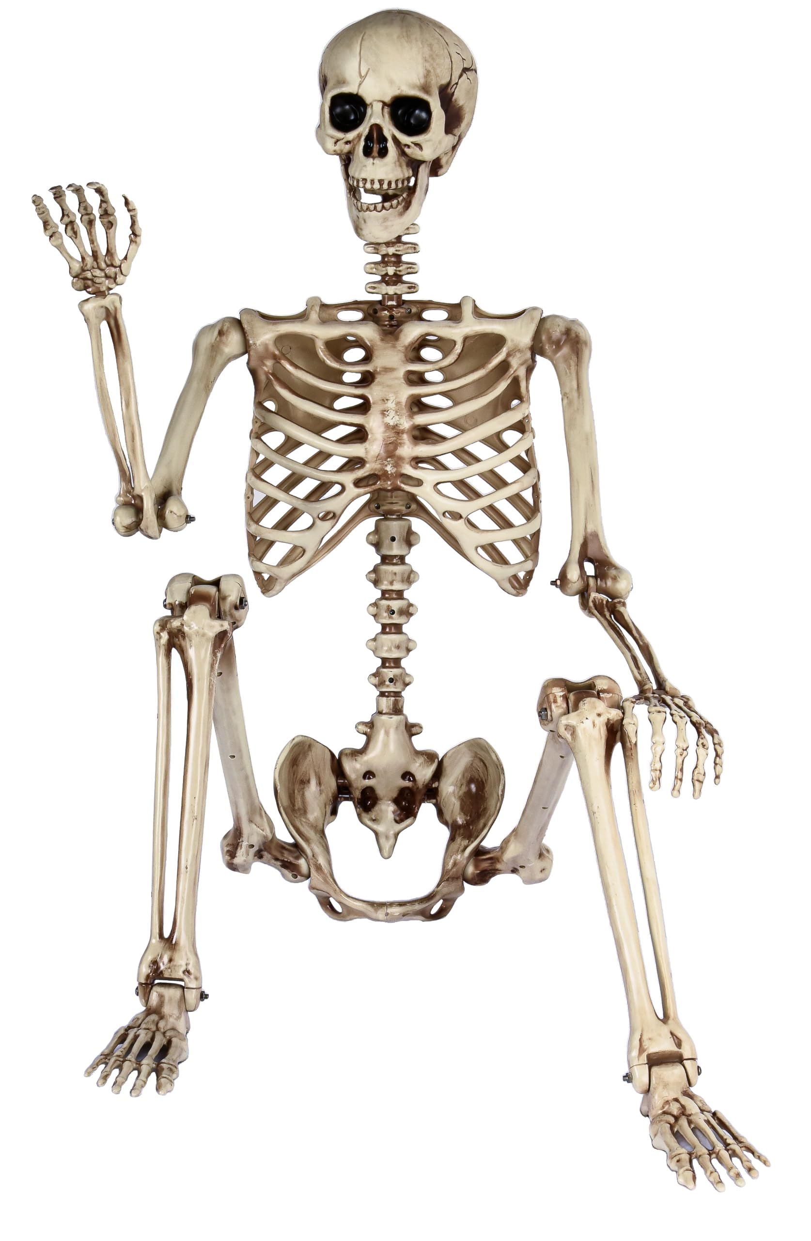 CONNICS 5.4ft life size skeleton front view with distressed finish