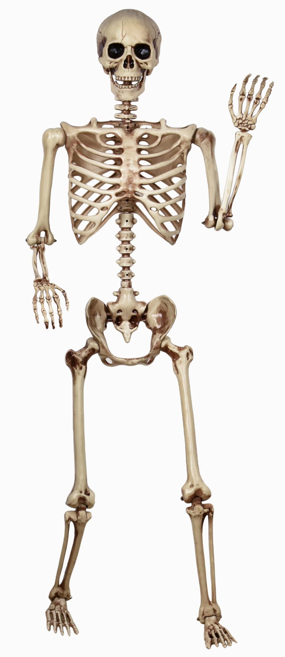 CONNICS skeleton seated on a porch step