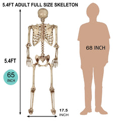 CONNICS skeleton side view showcasing movable joints