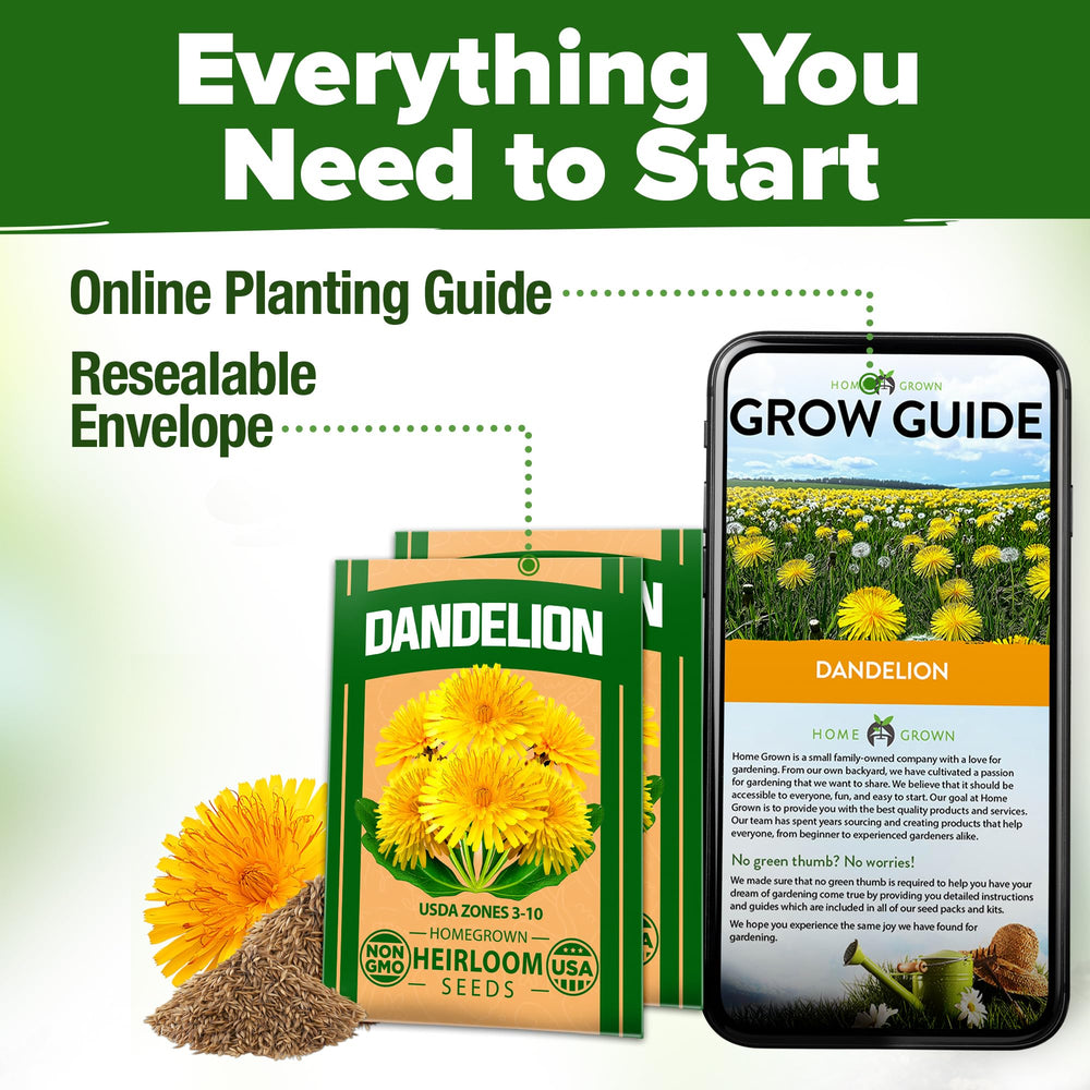 Container garden with blooming dandelions and pollinators