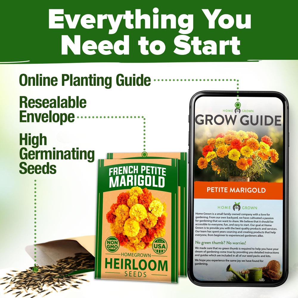 Container garden with HOME GROWN Petite French Marigold
