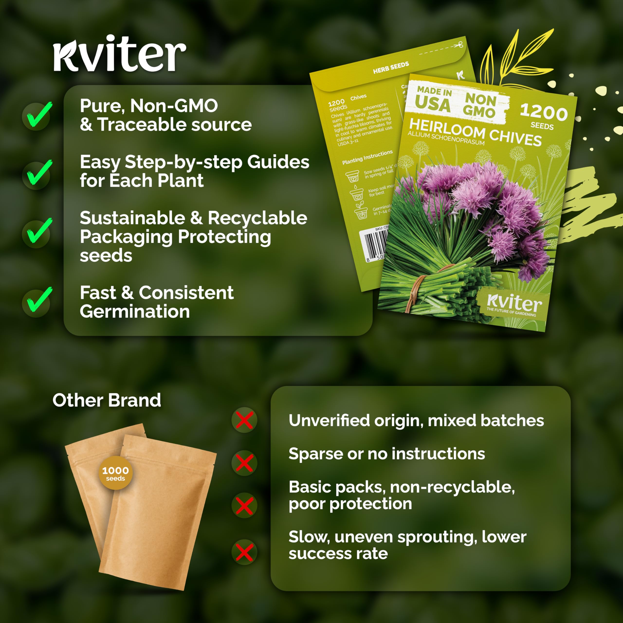 Container garden with KVITER chives growing