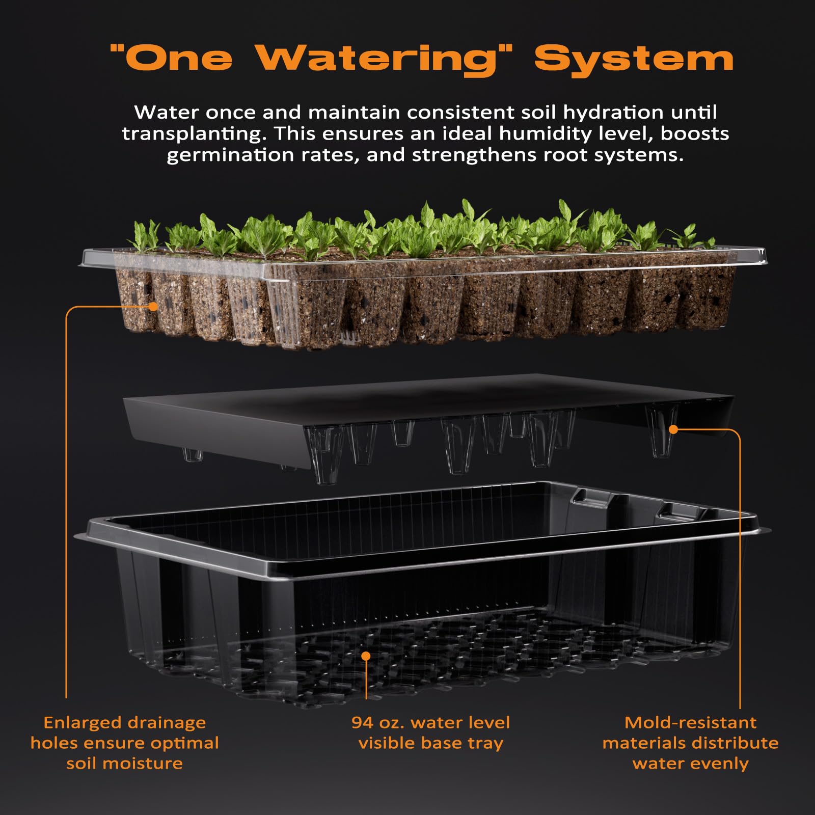 Contents of Patigrow Seed Starter Kit laid out including trays and tools