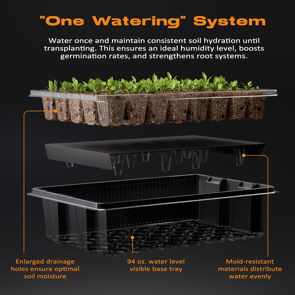 Contents of Patigrow Seed Starter Kit laid out including trays and tools