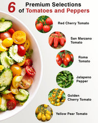 Contents of the Heirloom Tomato Seed Pod Kit including pods and nutrients