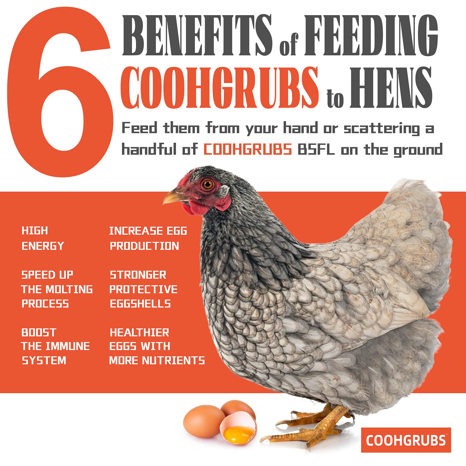 COOHGRUBS packaging with resealable bag