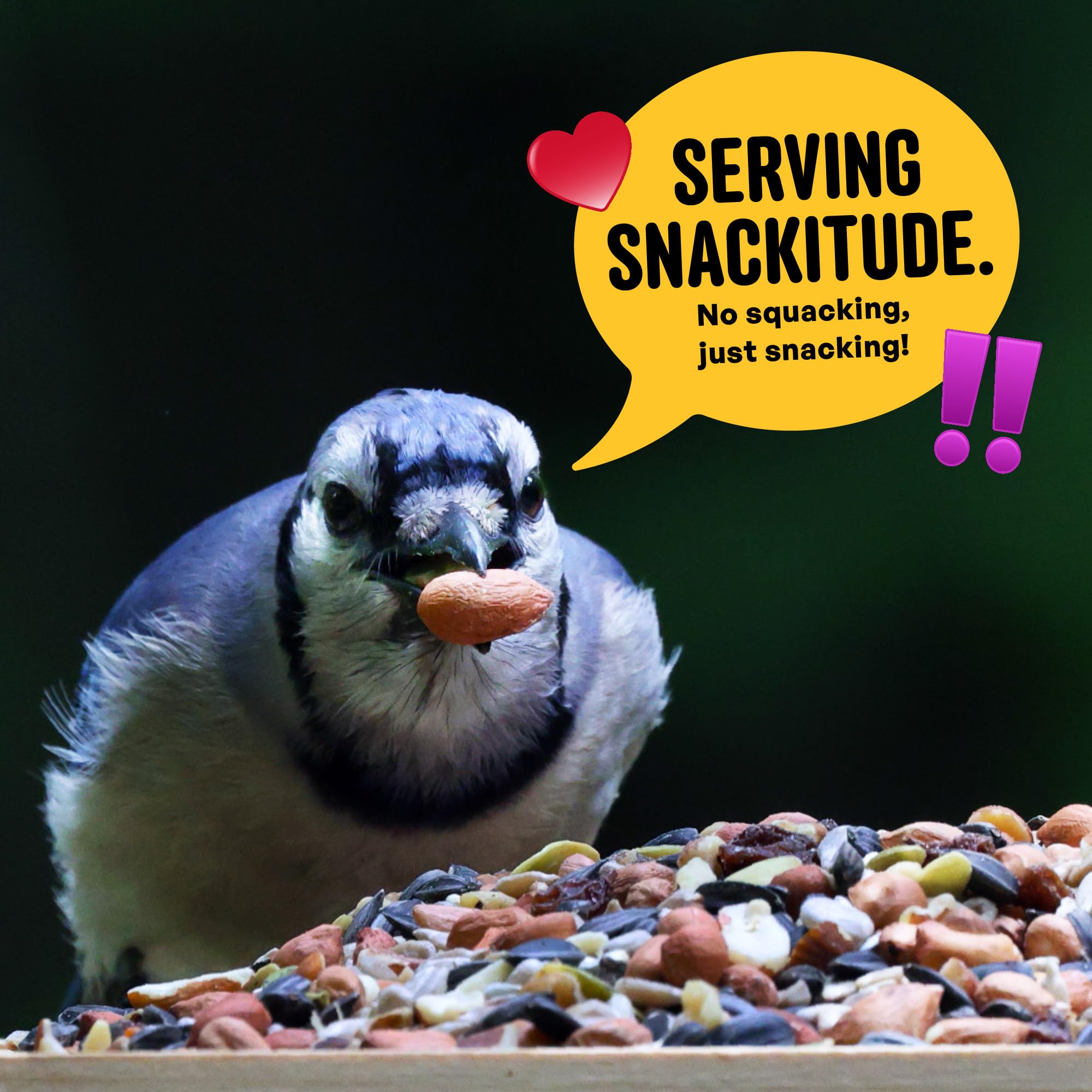 COOL BIRDS Nut & Fruit Wild Bird Seed with mixed nuts