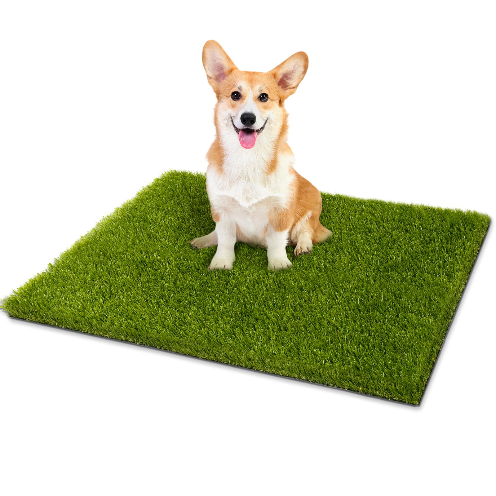 CooRug 30" x 17" artificial grass in green colour