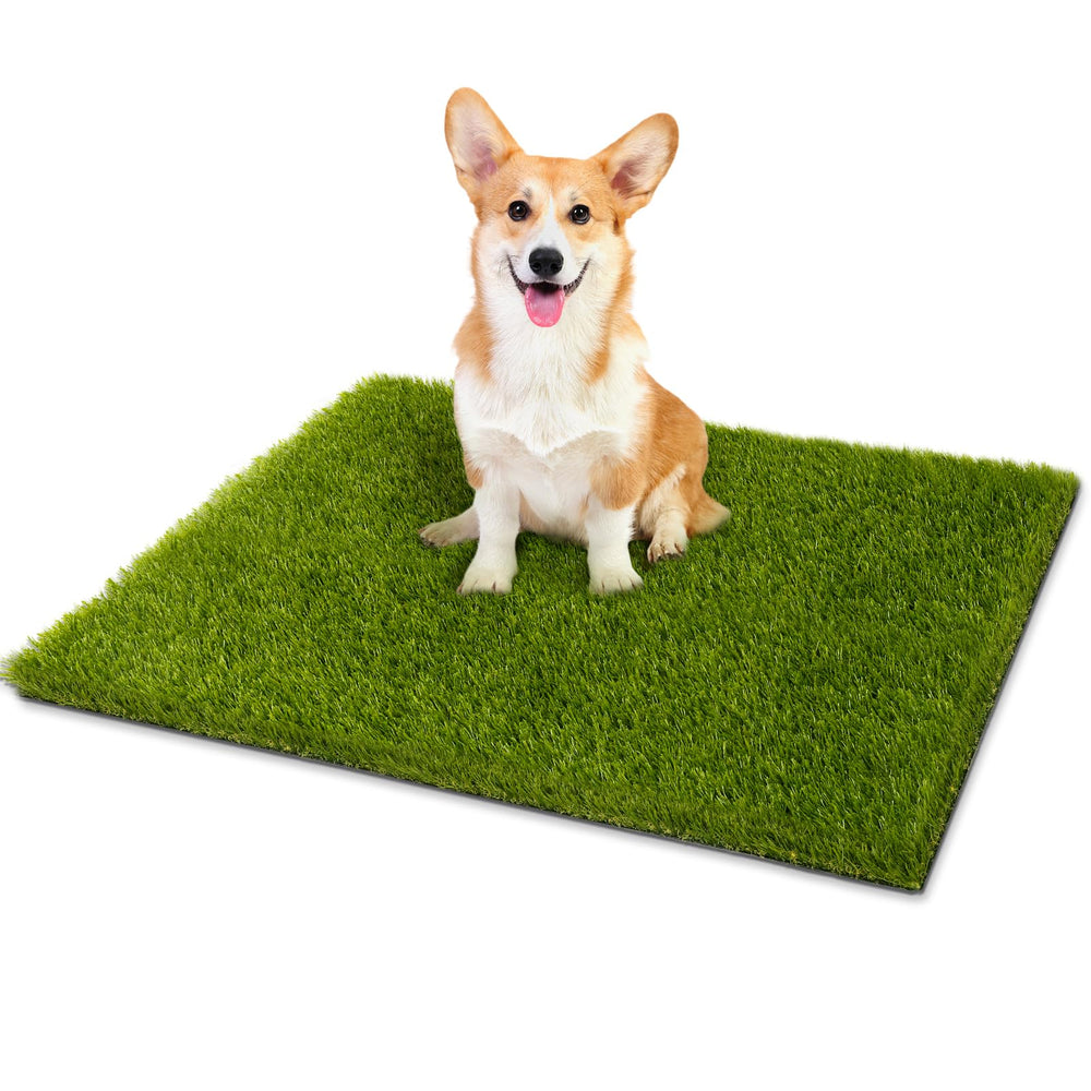 CooRug 30" x 17" artificial grass in green colour