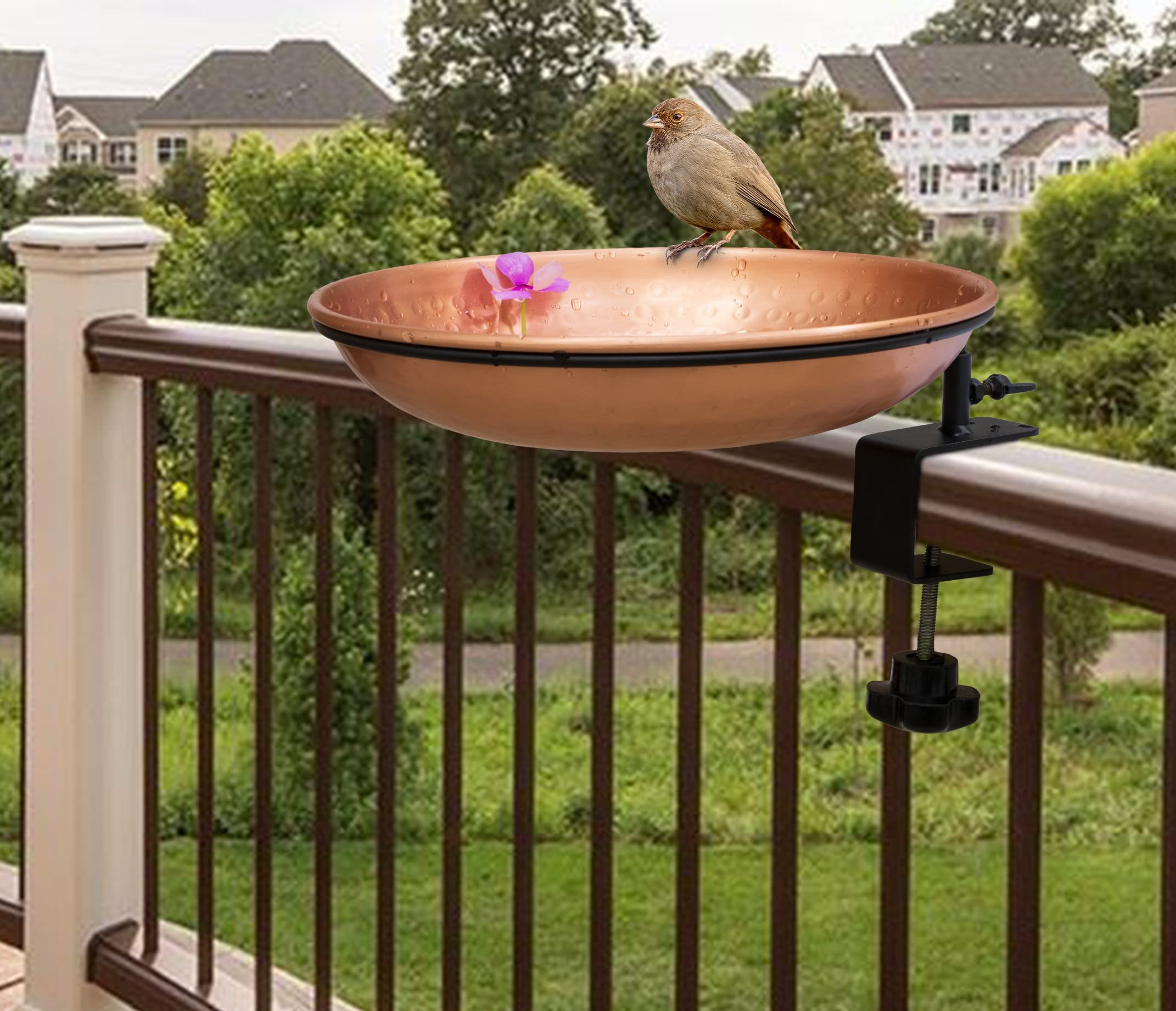 Copper bird bath with water and seeds for birds