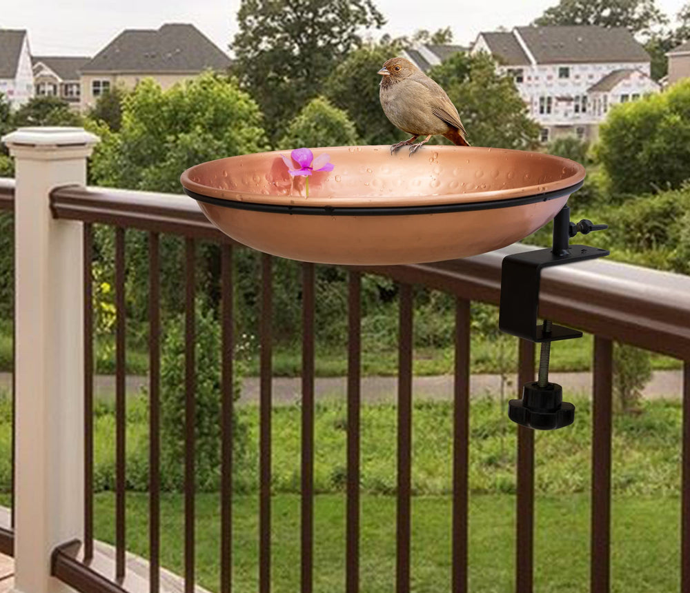 Copper bird bath with water and seeds for birds