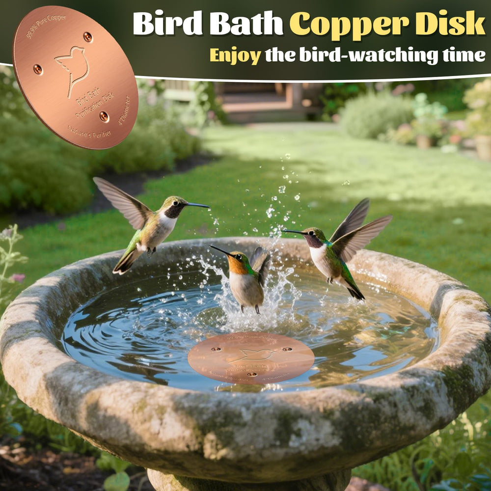 Copper Disk reflecting sunlight in a birdbath