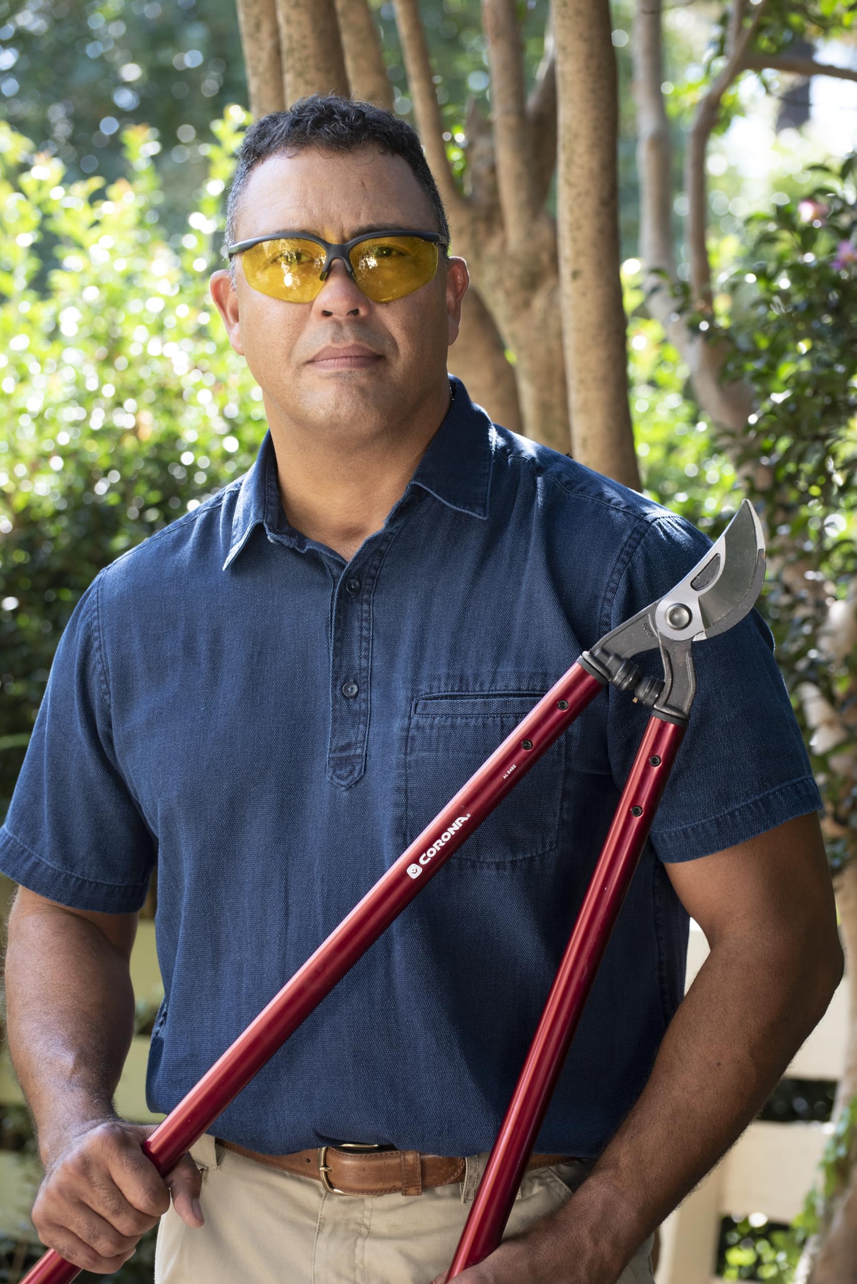 Corona Clipper loppers in use, trimming a tree branch