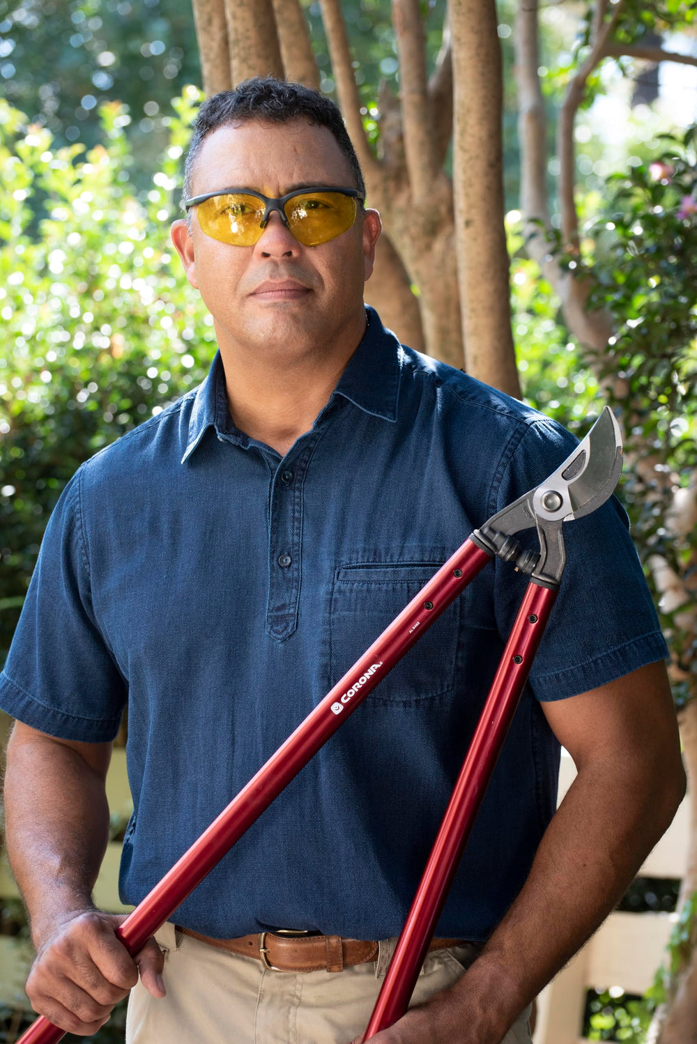 Corona Clipper loppers in use, trimming a tree branch