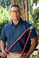 Corona Clipper loppers in use, trimming a tree branch