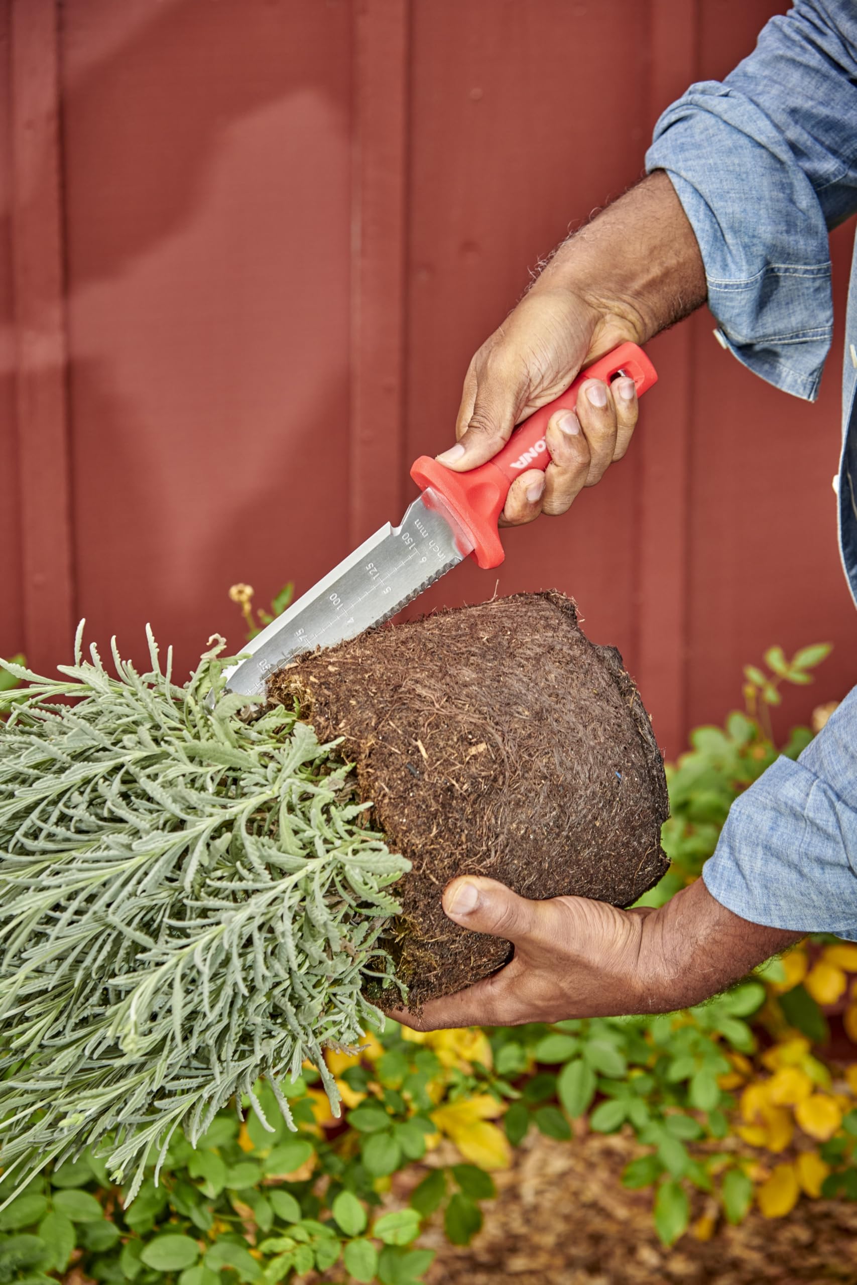 Corona Hori Garden Knife cutting through soil