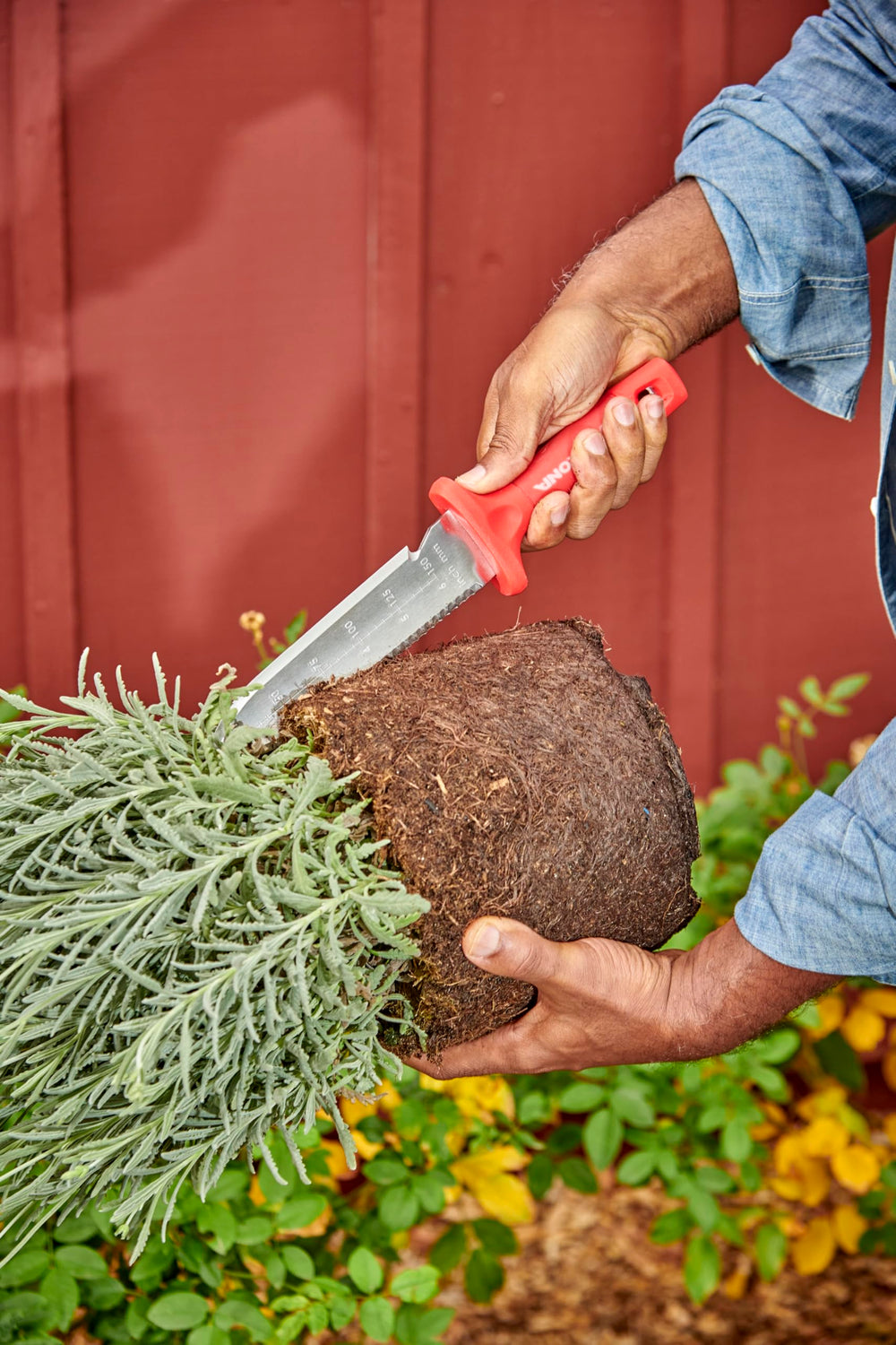 Corona Hori Garden Knife cutting through soil