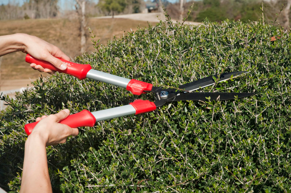 Corona HS3244 Hedge Shear in use trimming a hedge