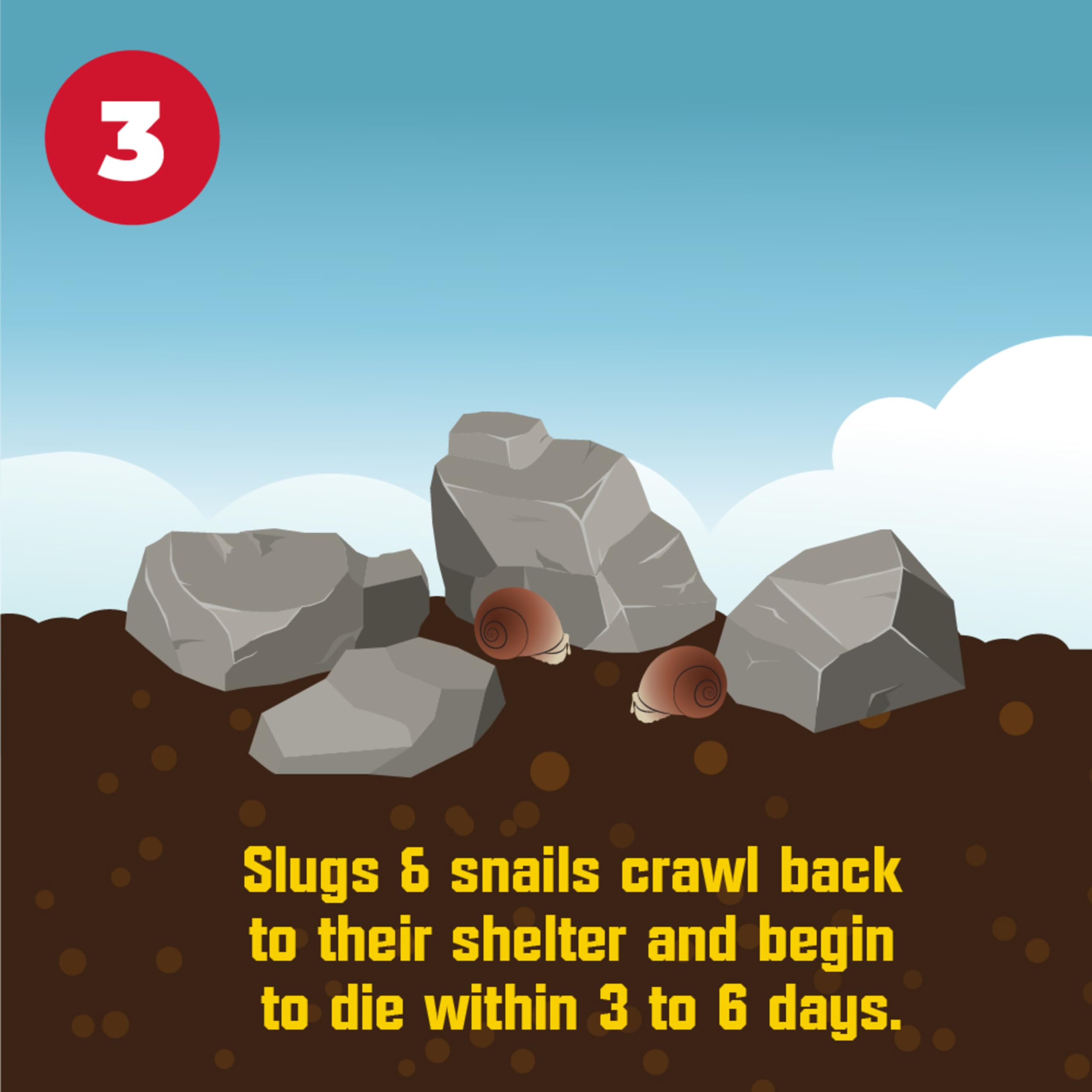 Corry's Slug and Snail Killer Bait in a vegetable garden