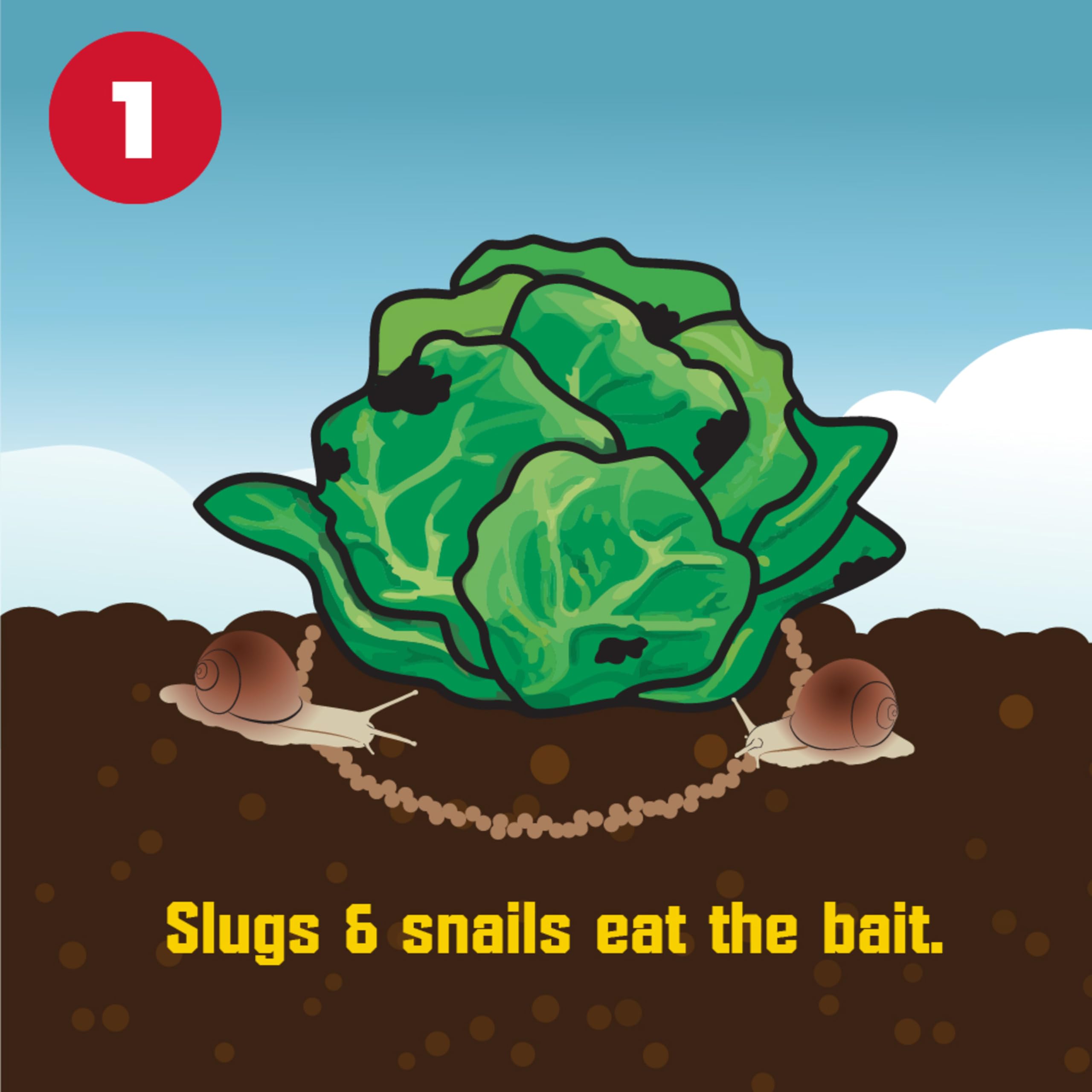 Corry's Slug and Snail Killer Bait packaging close-up