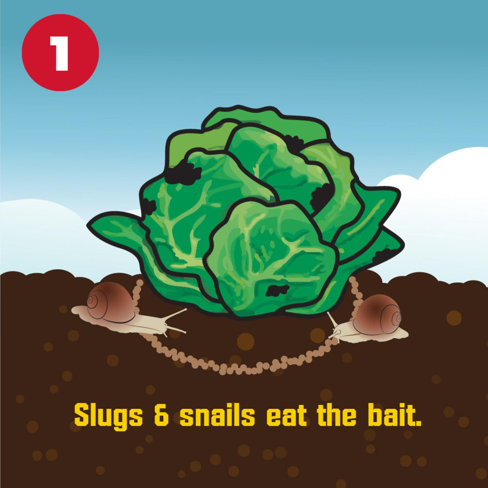 Corry's Slug and Snail Killer Bait packaging close-up