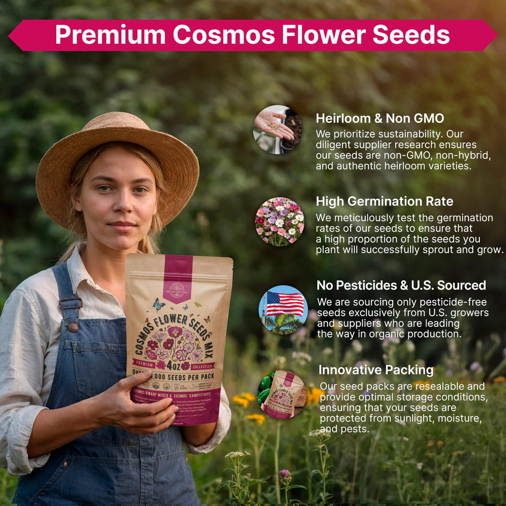 Cosmos seed packet with green and purple flowers