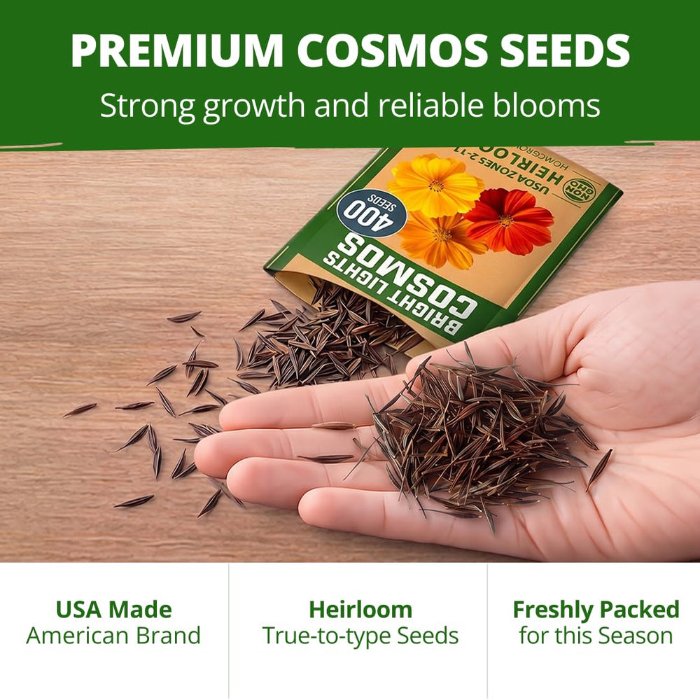 Cosmos seeds being planted in soil