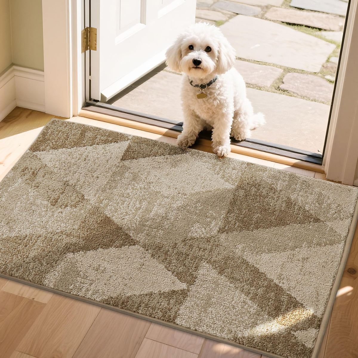 COSY HOMEER beige entryway rug 24x36 front view