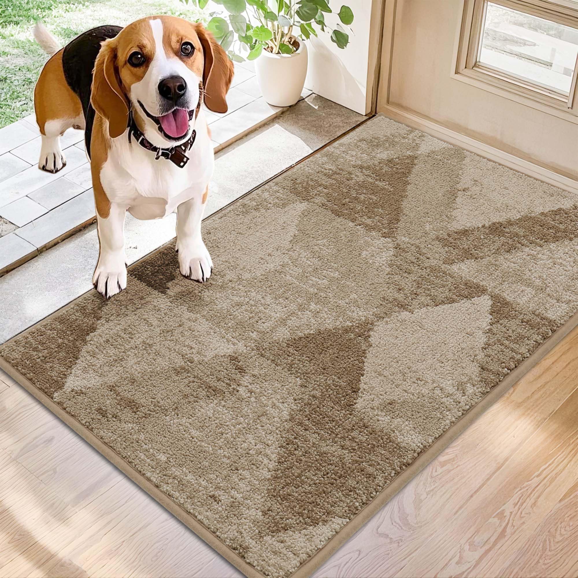 COSY HOMEER Entryway Rug Doormat front view, beige
