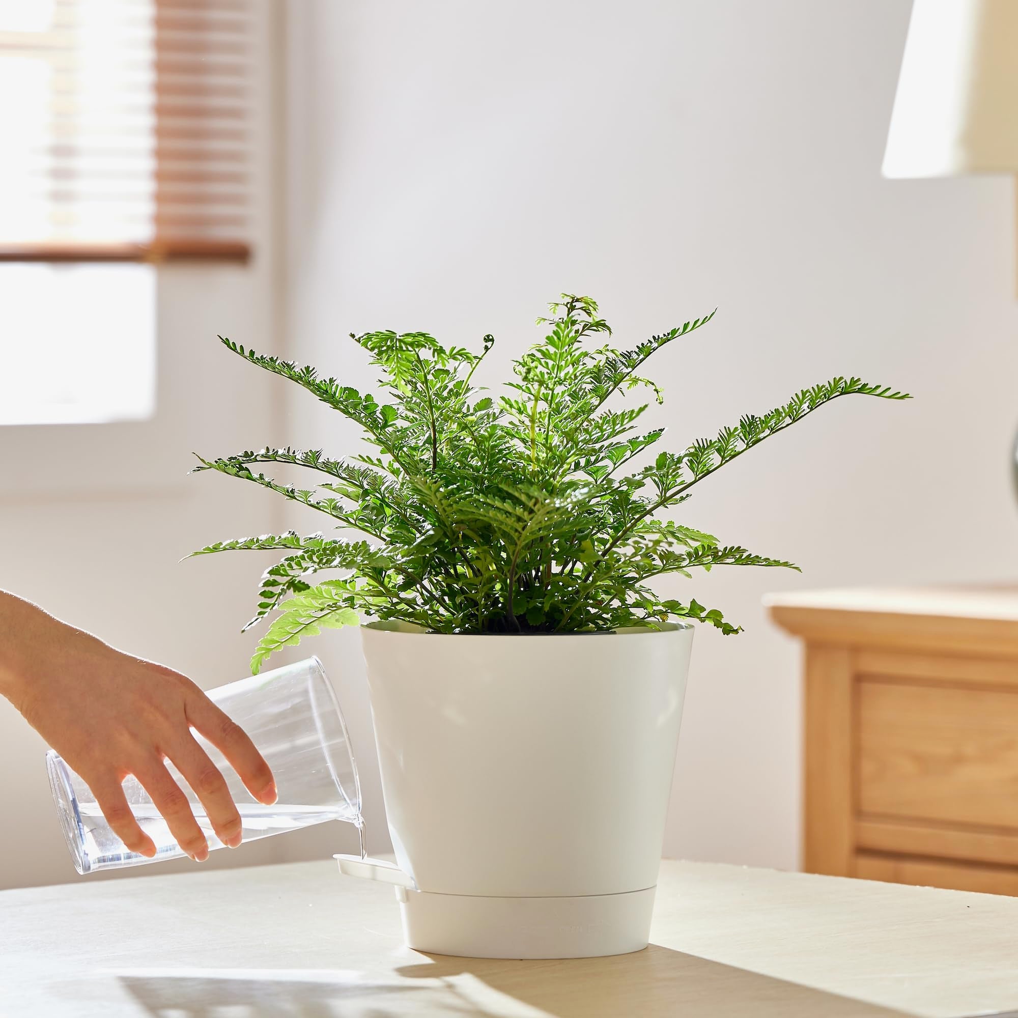 Cotton rope accessory included with FaithLand planter pots