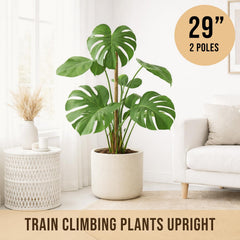 Craft911 moss pole inserted into soil with plant
