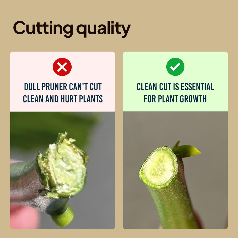 Craft911 pruning shears alongside gardening tools