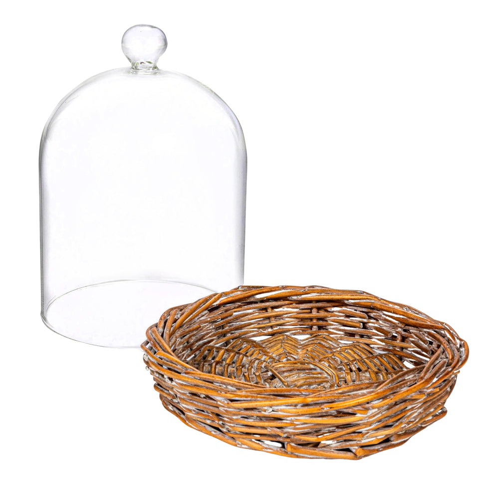 Creative Co-Op glass cloche displayed with plants and candles