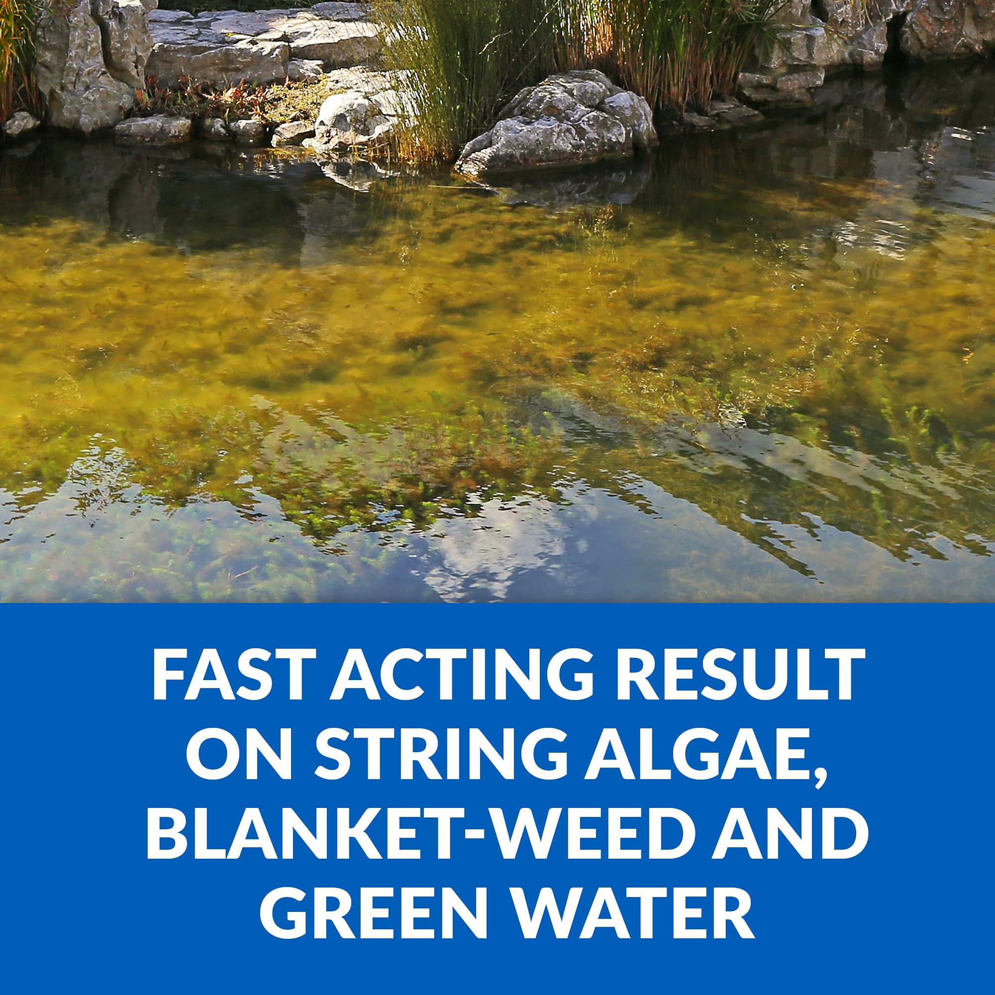 CrystalClear Algae D-Solv 1 Gallon pouring into pond